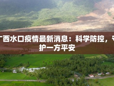 广西水口疫情最新消息：科学防控，守护一方平安