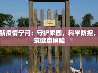 最新疫情宁河：守护家园，科学防控，共筑健康屏障
