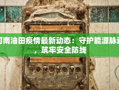 河南油田疫情最新动态：守护能源脉动，筑牢安全防线