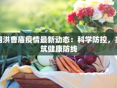 泗洪曹庙疫情最新动态：科学防控，共筑健康防线