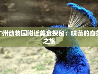 广州动物园附近美食探秘：味蕾的奇妙之旅