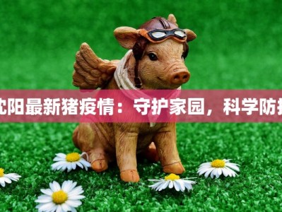 沈阳最新猪疫情：守护家园，科学防控