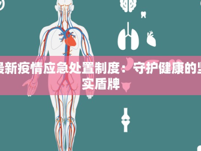 最新疫情应急处置制度：守护健康的坚实盾牌
