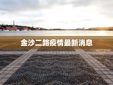 金沙二路疫情最新消息