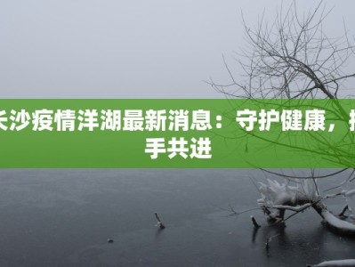 长沙疫情洋湖最新消息：守护健康，携手共进