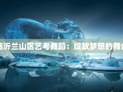 临沂兰山区艺考舞蹈：绽放梦想的舞台