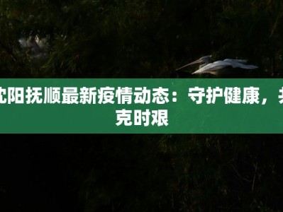 沈阳抚顺最新疫情动态：守护健康，共克时艰