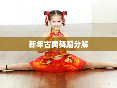新年古典舞蹈分解