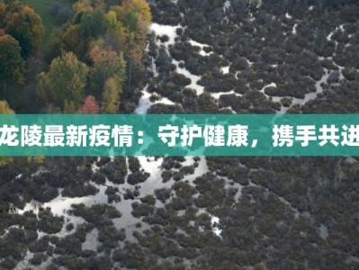 龙陵最新疫情：守护健康，携手共进