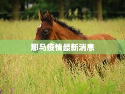 上海七宝疫情通报最新：科学防控，共筑健康屏障