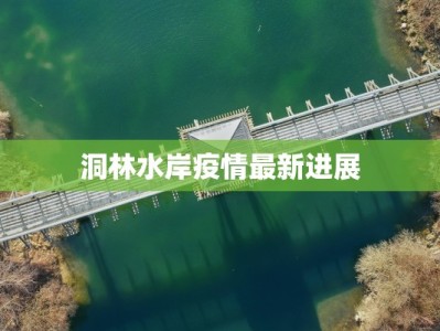 洞林水岸疫情最新进展