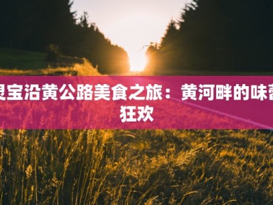 灵宝沿黄公路美食之旅：黄河畔的味蕾狂欢