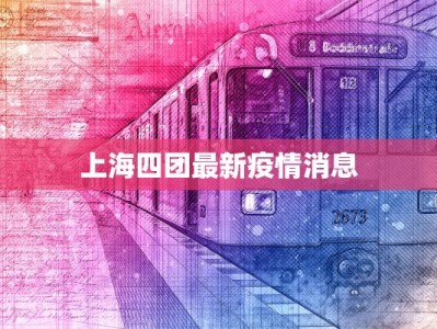 上海四团最新疫情消息