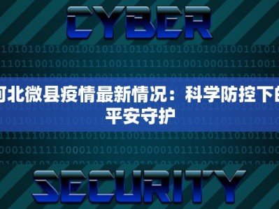 河北微县疫情最新情况：科学防控下的平安守护