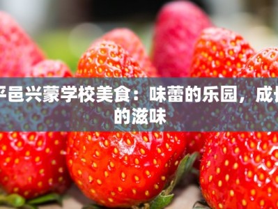 平邑兴蒙学校美食：味蕾的乐园，成长的滋味