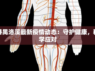 番禺洛溪最新疫情动态：守护健康，科学应对