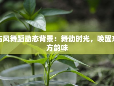 古风舞蹈动态背景：舞动时光，唤醒东方韵味