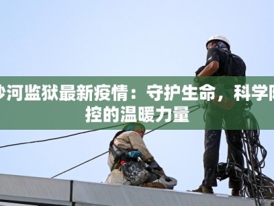沙河监狱最新疫情：守护生命，科学防控的温暖力量