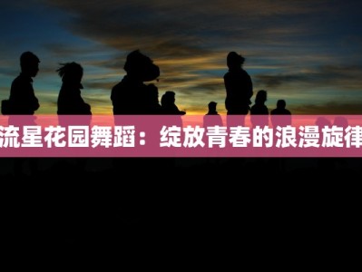 流星花园舞蹈：绽放青春的浪漫旋律
