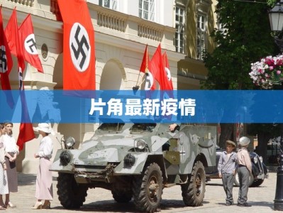 片角最新疫情