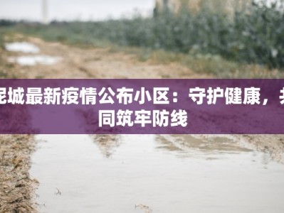 泥城最新疫情公布小区：守护健康，共同筑牢防线