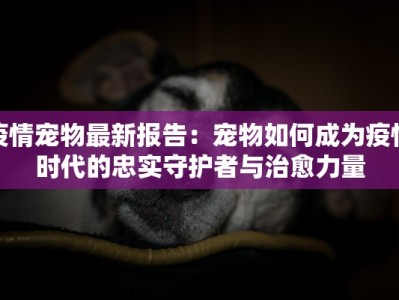 疫情宠物最新报告：宠物如何成为疫情时代的忠实守护者与治愈力量