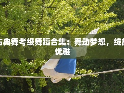 古典舞考级舞蹈合集：舞动梦想，绽放优雅
