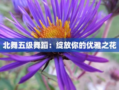 北舞五级舞蹈：绽放你的优雅之花
