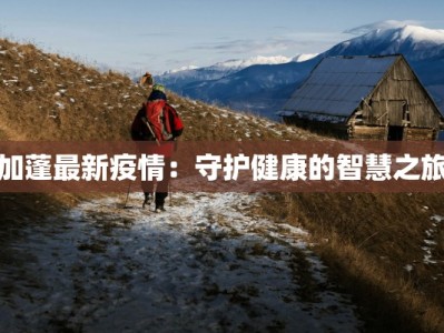 加蓬最新疫情：守护健康的智慧之旅