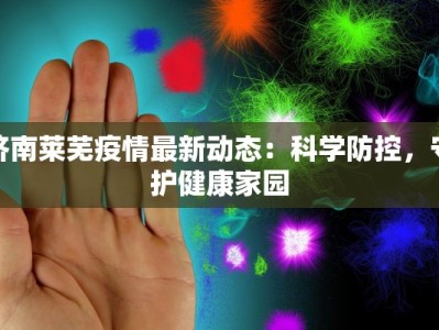 济南莱芜疫情最新动态：科学防控，守护健康家园