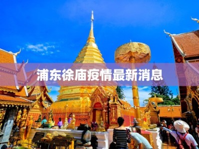 浦东徐庙疫情最新消息
