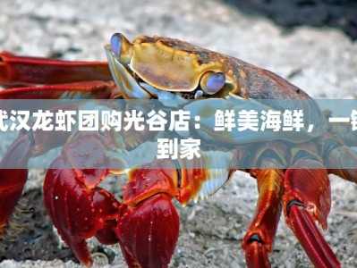 武汉龙虾团购光谷店：鲜美海鲜，一键到家
