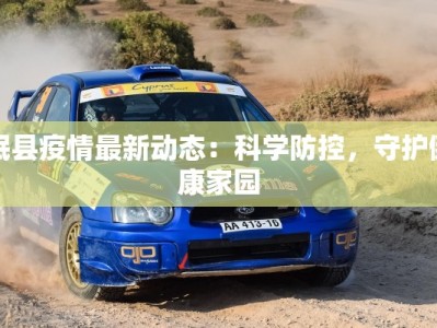 岷县疫情最新动态：科学防控，守护健康家园