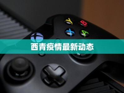 西青疫情最新动态