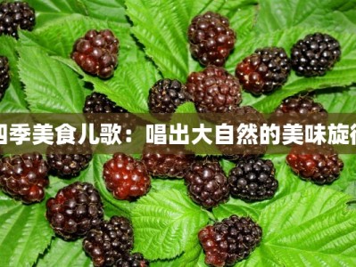 四季美食儿歌：唱出大自然的美味旋律