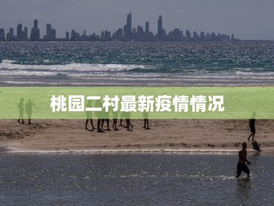 桃园二村最新疫情情况