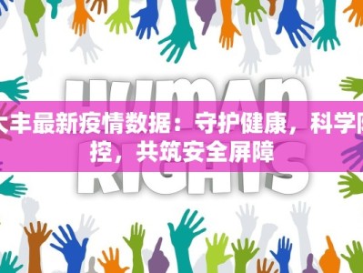 大丰最新疫情数据：守护健康，科学防控，共筑安全屏障
