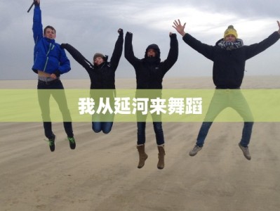 我从延河来舞蹈