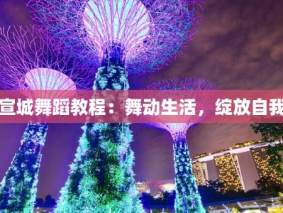 宣城舞蹈教程：舞动生活，绽放自我