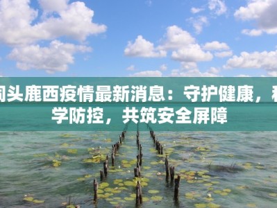 洞头鹿西疫情最新消息：守护健康，科学防控，共筑安全屏障
