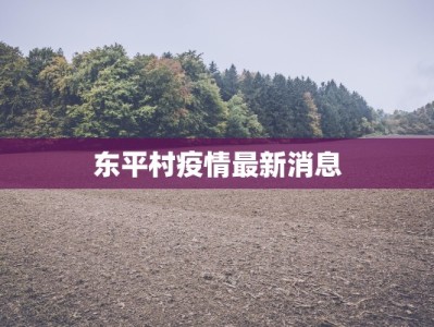 东平村疫情最新消息