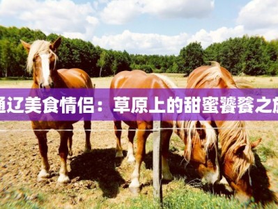 通辽美食情侣：草原上的甜蜜饕餮之旅