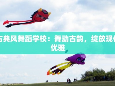 古典风舞蹈学校：舞动古韵，绽放现代优雅