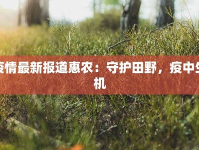 最新兰州疫情捐款情况