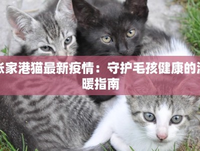 张家港猫最新疫情：守护毛孩健康的温暖指南