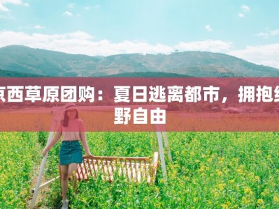 京西草原团购：夏日逃离都市，拥抱绿野自由