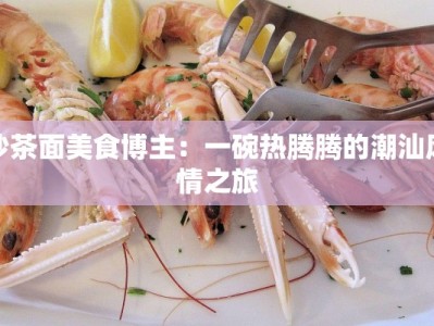 沙茶面美食博主：一碗热腾腾的潮汕风情之旅