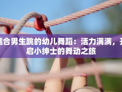 适合男生跳的幼儿舞蹈：活力满满，开启小绅士的舞动之旅