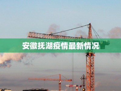 安徽抚湖疫情最新情况