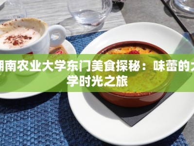 湖南农业大学东门美食探秘：味蕾的大学时光之旅
